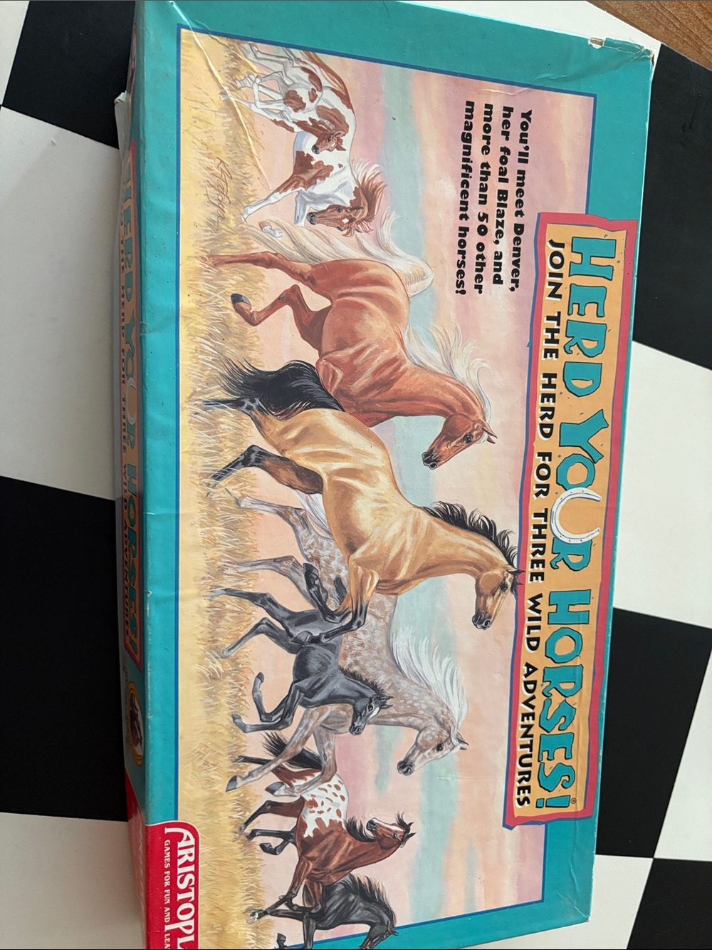 Herd Your Horses! Board Game Box with Teal and Pink Artwork